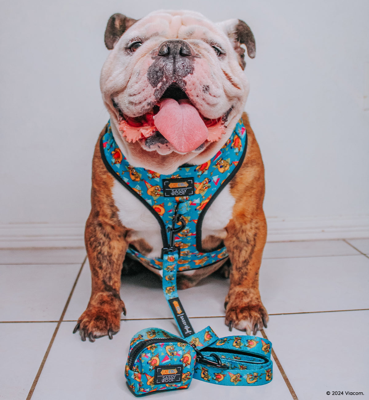 Dog Leash - Nickelodeon CatDog™
